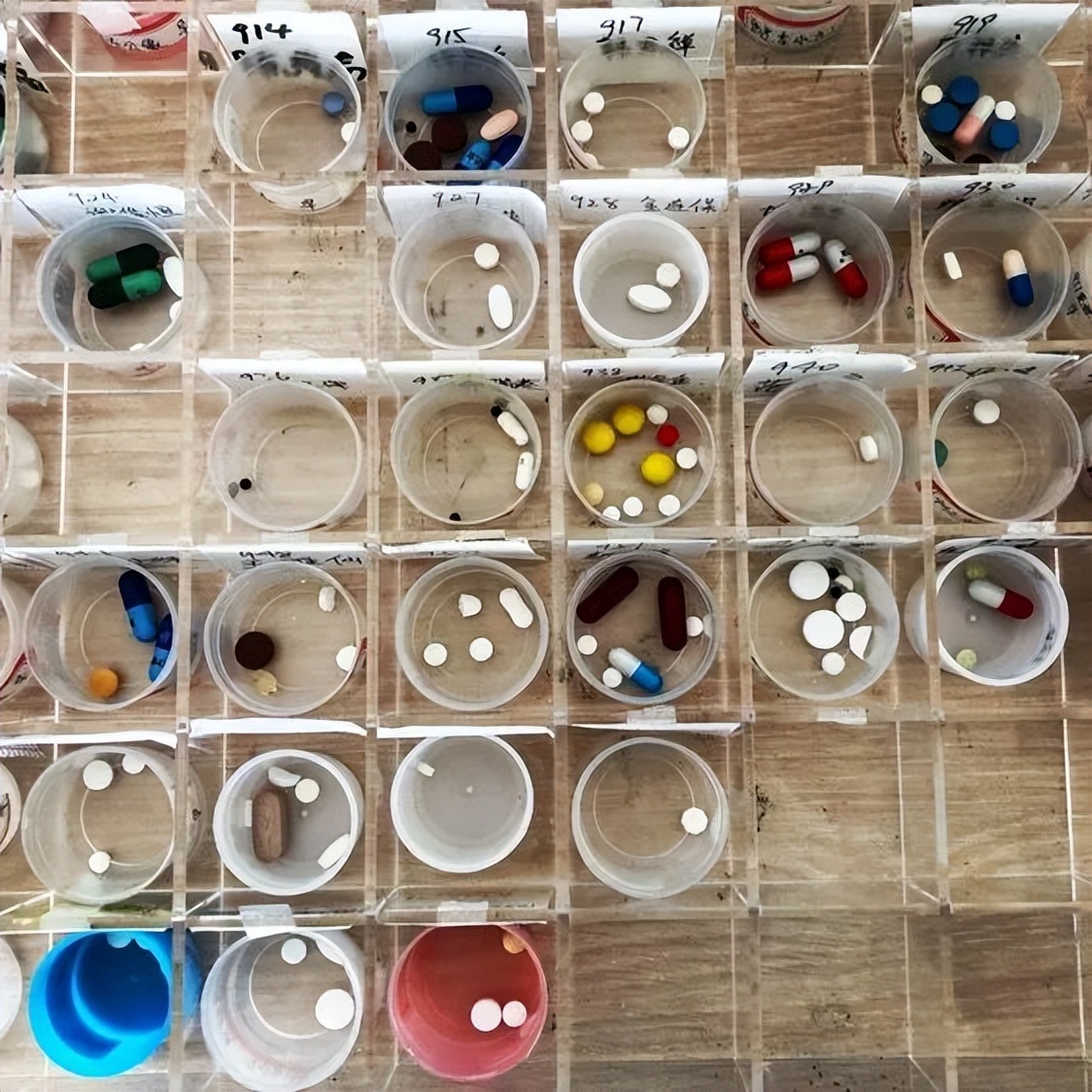 养老院里的情与爱,养老院的生活与向往的一样吗