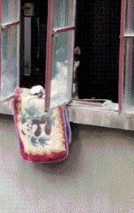 伴娘蹲角落里玩手机,伴娘躲在角落玩手机很漂亮