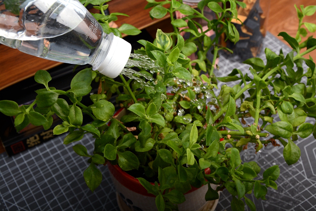 wowstickplay锂电螺丝刀,手工diy迷你电钻笔