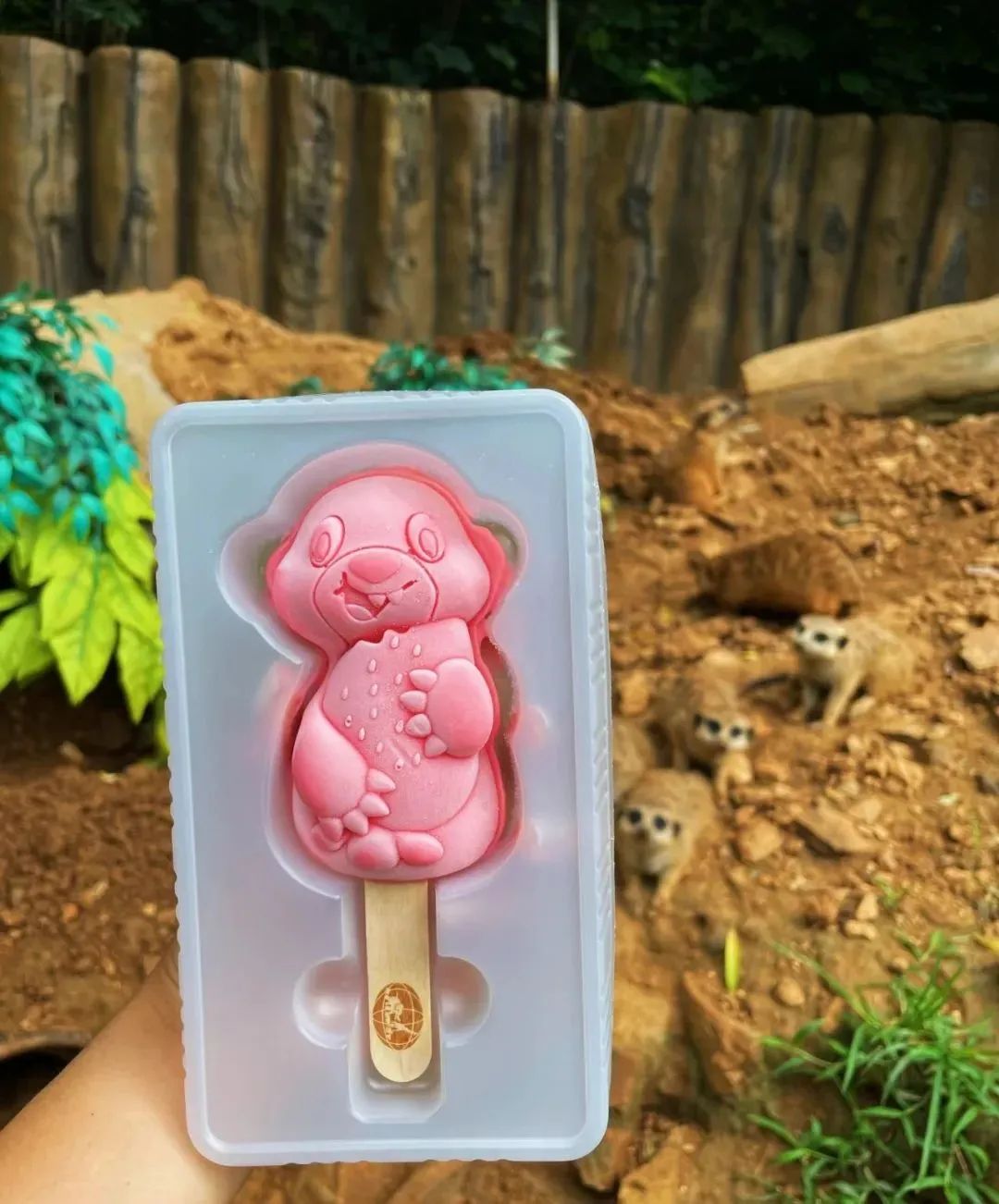 青岛带你品尝舌尖美味,青岛夏天最好吃的菜