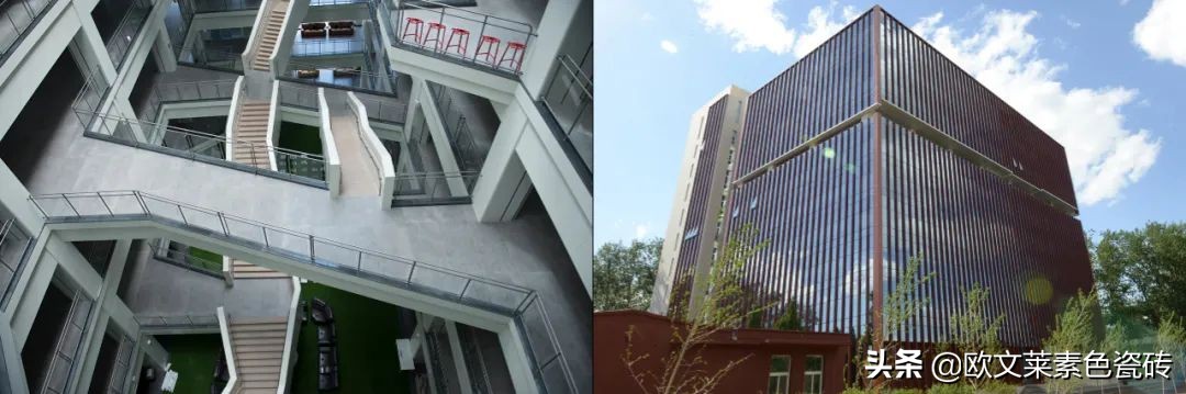 缃戞槗瀹跺眳,缃戞槗瀹跺眳閲囪