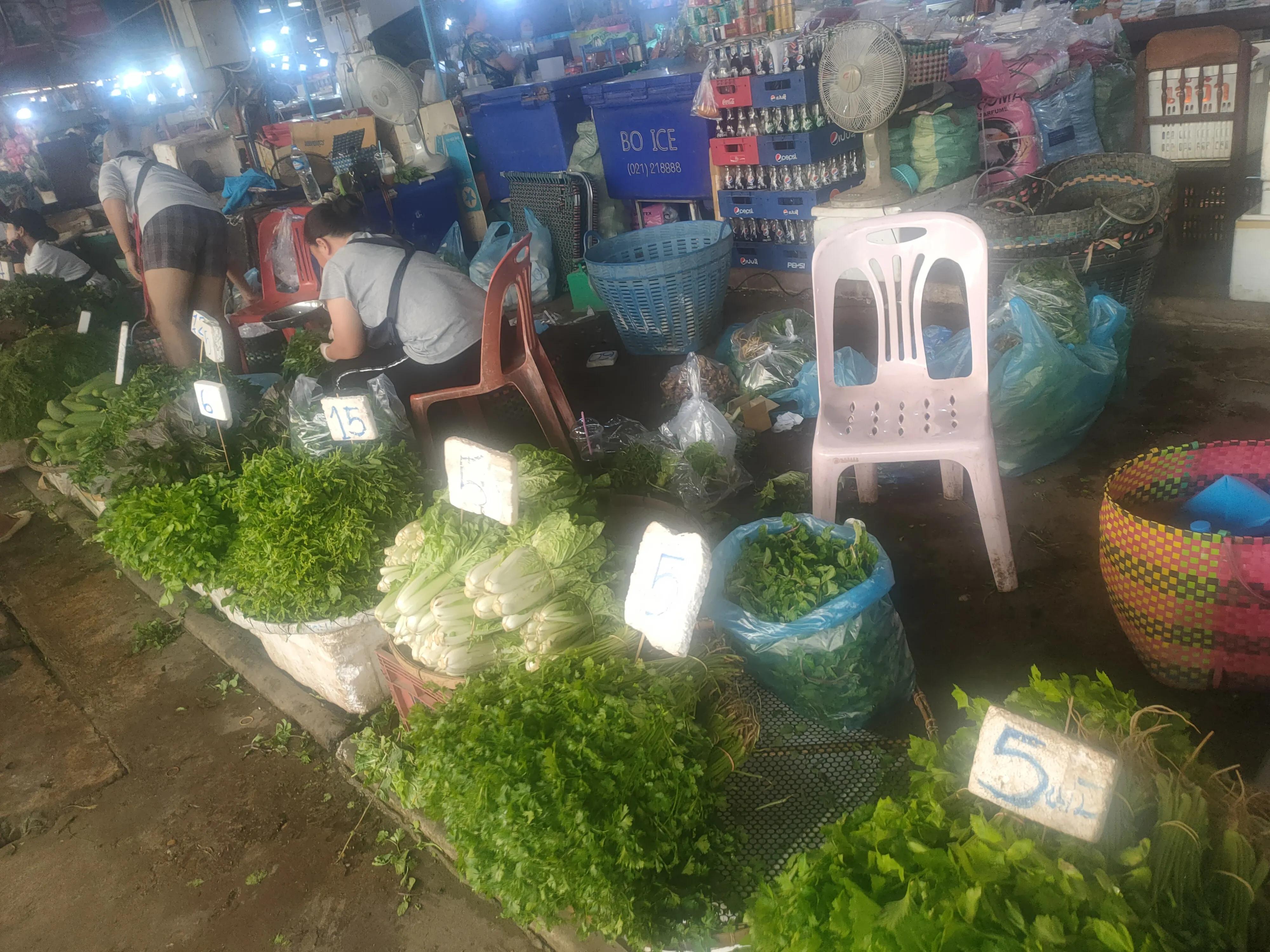 老挝的土地可以自由买卖吗,老挝承包土地靠谱吗