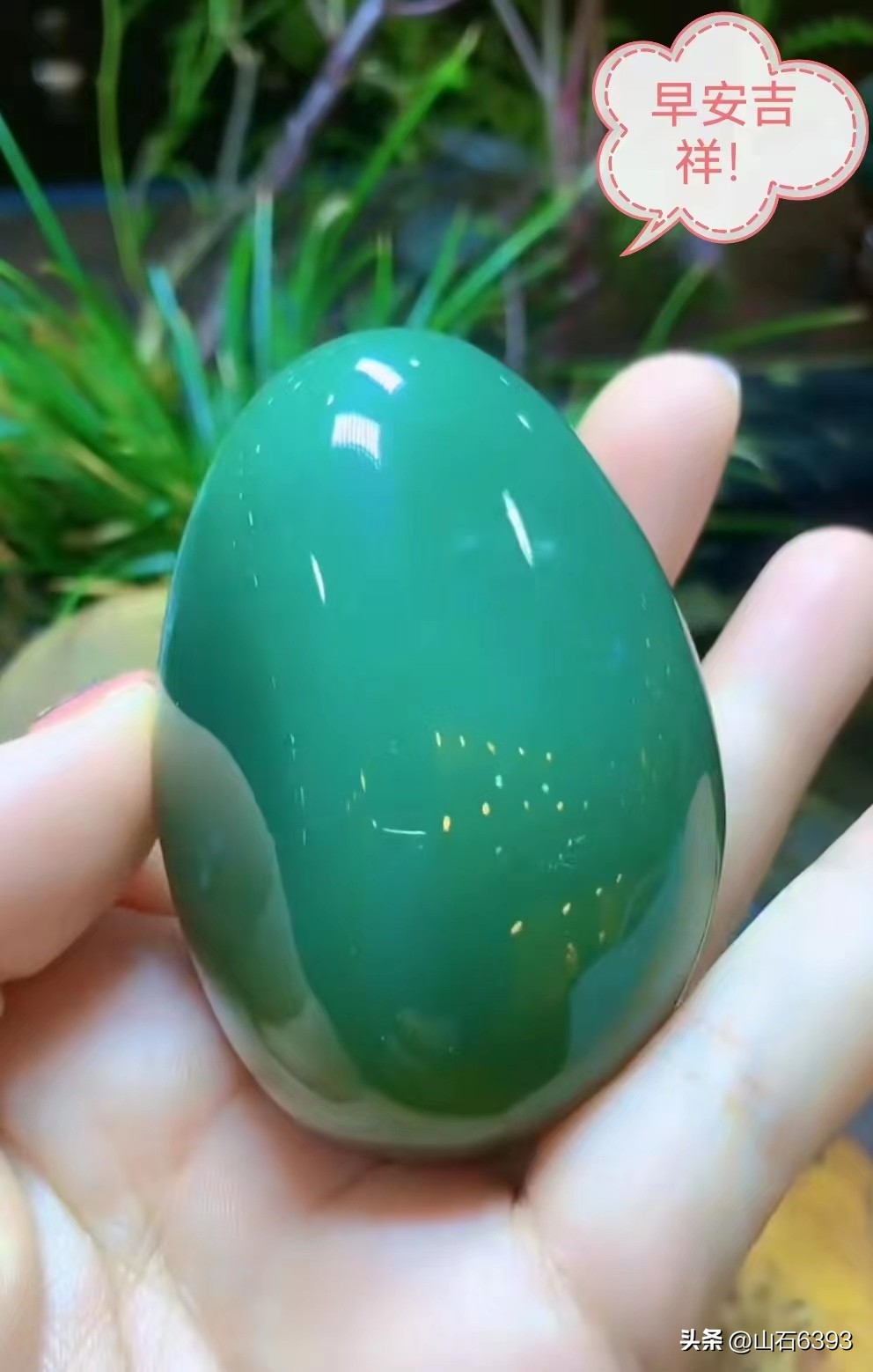 张梅：《石头》——是怎样“把石头养出温度”滴