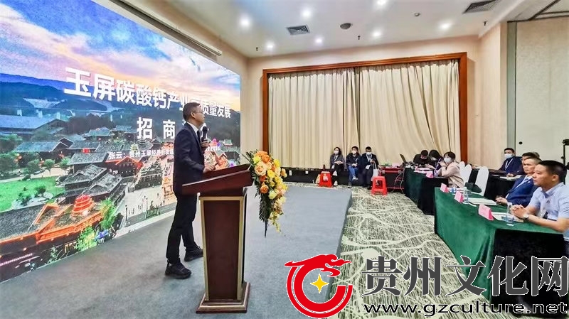 贵州新型工业化发展,贵州后发赶超型战略的实施