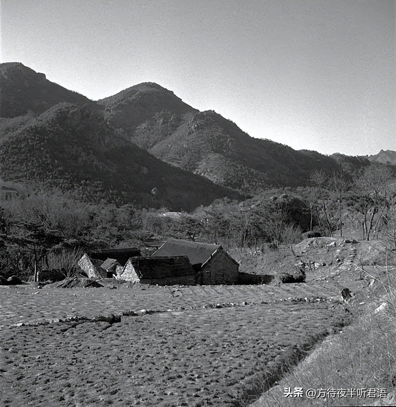 殊异之城：金石声穿过岁月的青岛留影