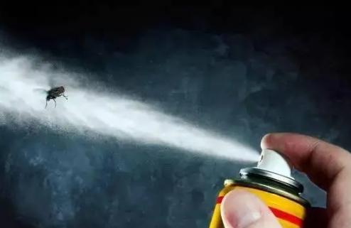 卫生间小飞虫的幼虫怎么消灭,农村厕所里小飞虫怎么消灭小窍门