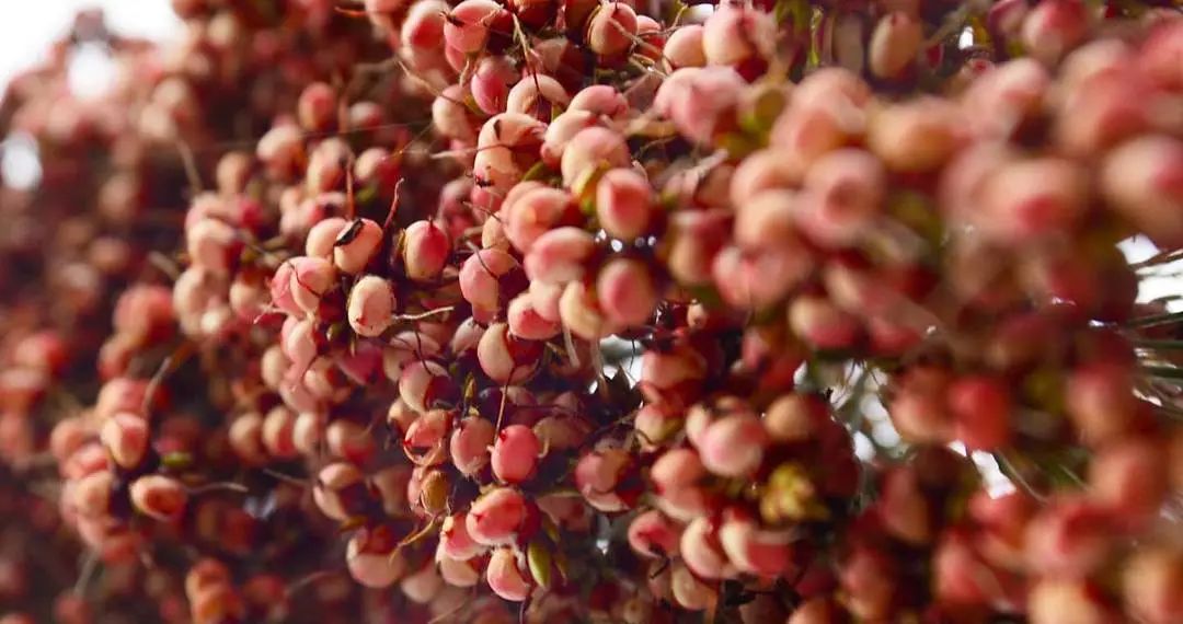 1997年香港回归特制酒多少钱,1997年香港回归特制酒