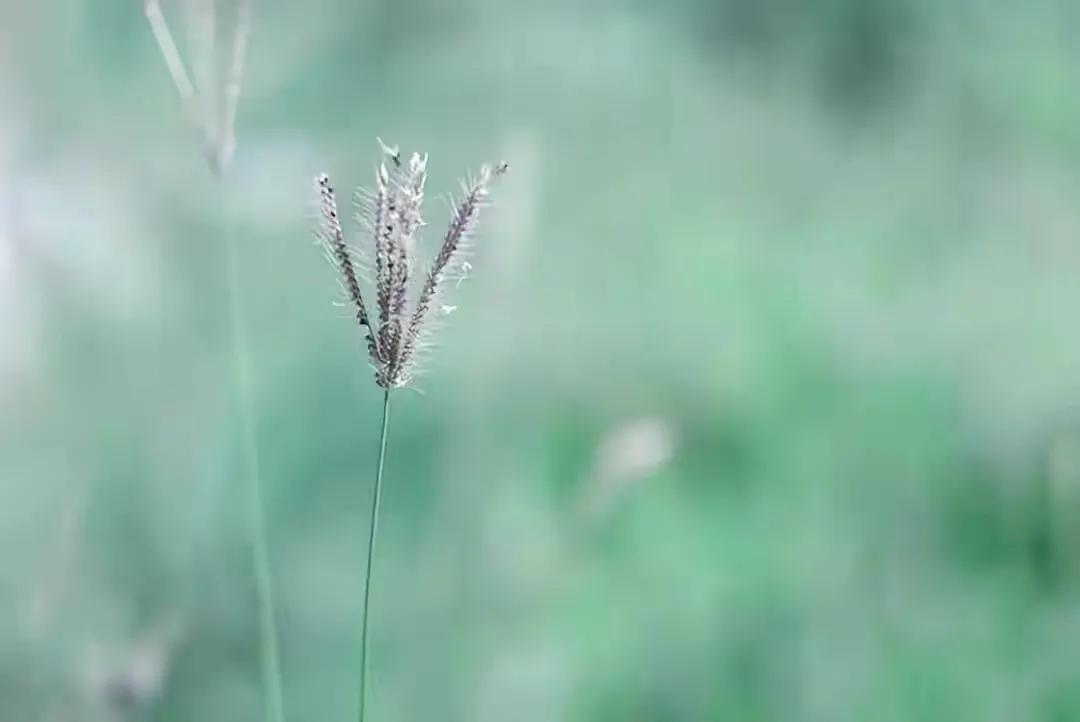 如何处理婆媳之间带小孩的矛盾,化解婆媳冲突的最佳方法