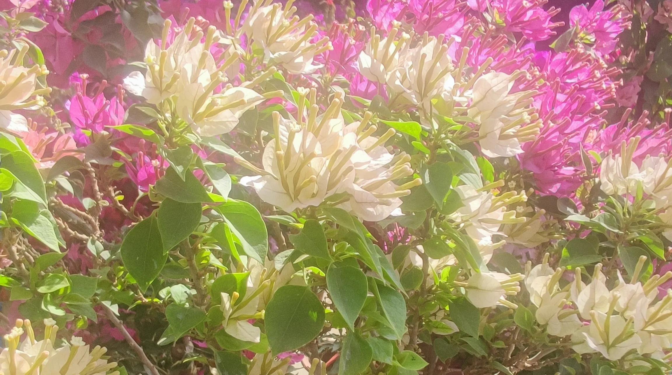 每日一句经典句子简短励志语录,励志语录短句不超过10个字