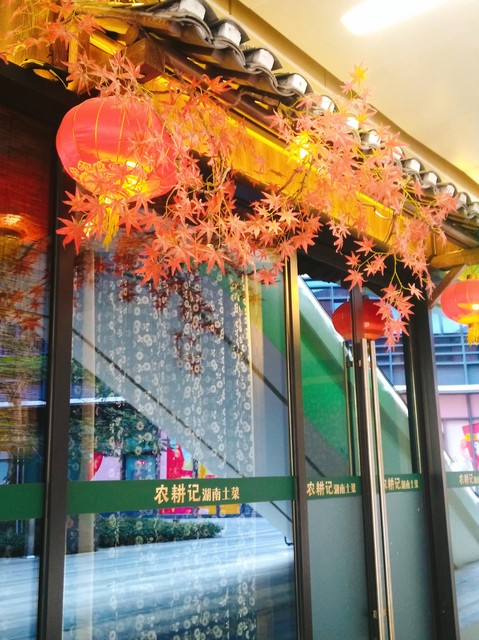 湘菜加盟品牌排行榜前十名,长沙湘菜连锁品牌排行