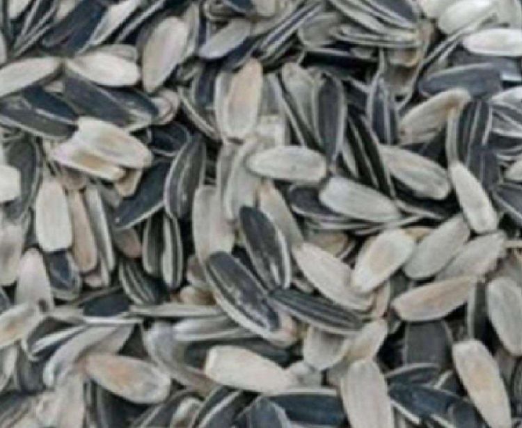 在新疆伊犁吃美食,在伊犁吃美食