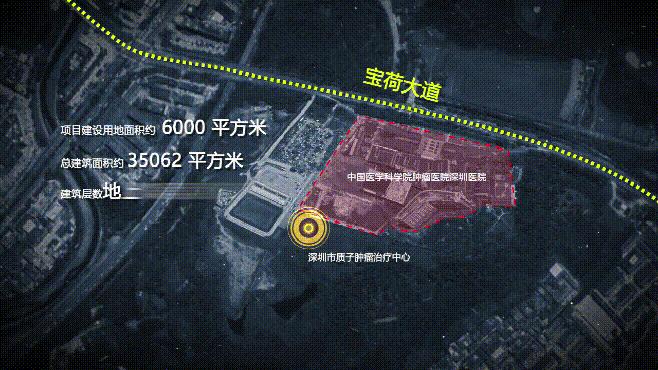 治癌利器是真的吗,治疗癌症新利器