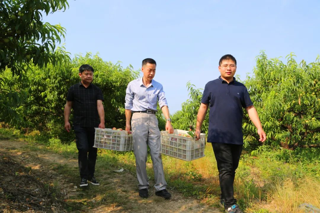 中国电商助农消费扶贫,中国电商精准扶贫助农项目