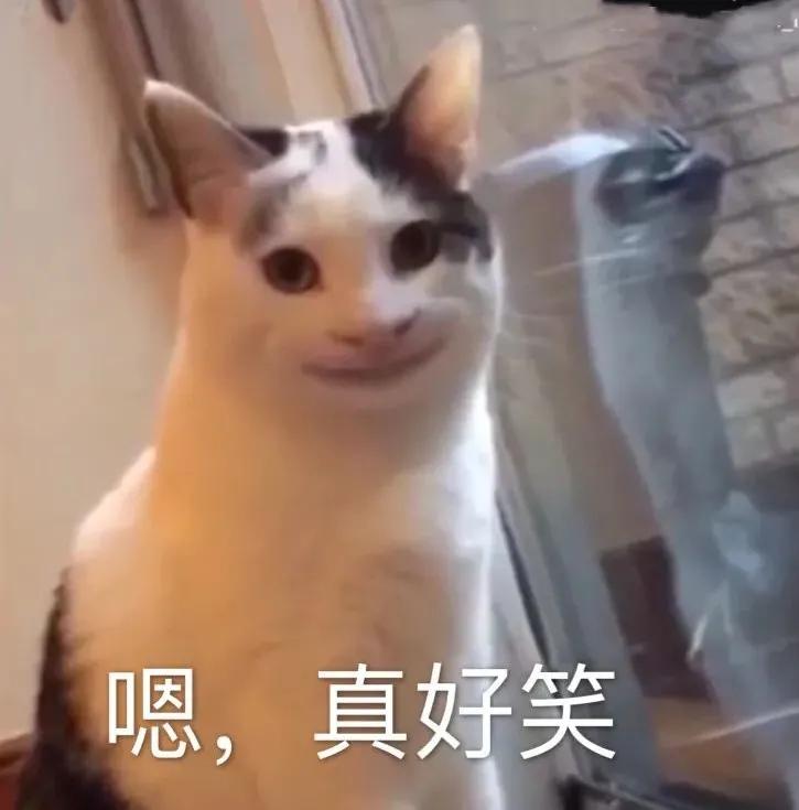 山姆app被罚款,山姆app被罚