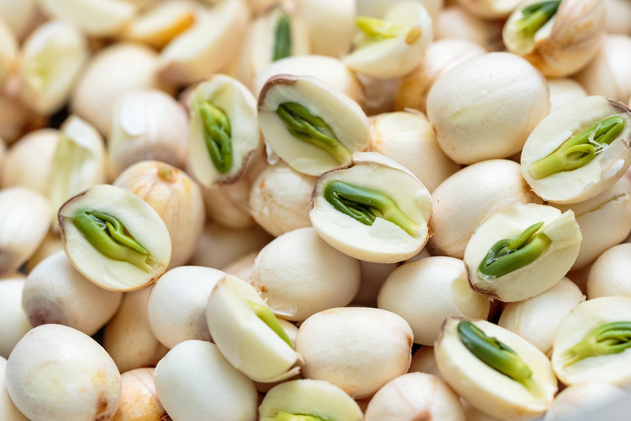 鲜莲子怎么保存,鲜莲子冷冻保存多久