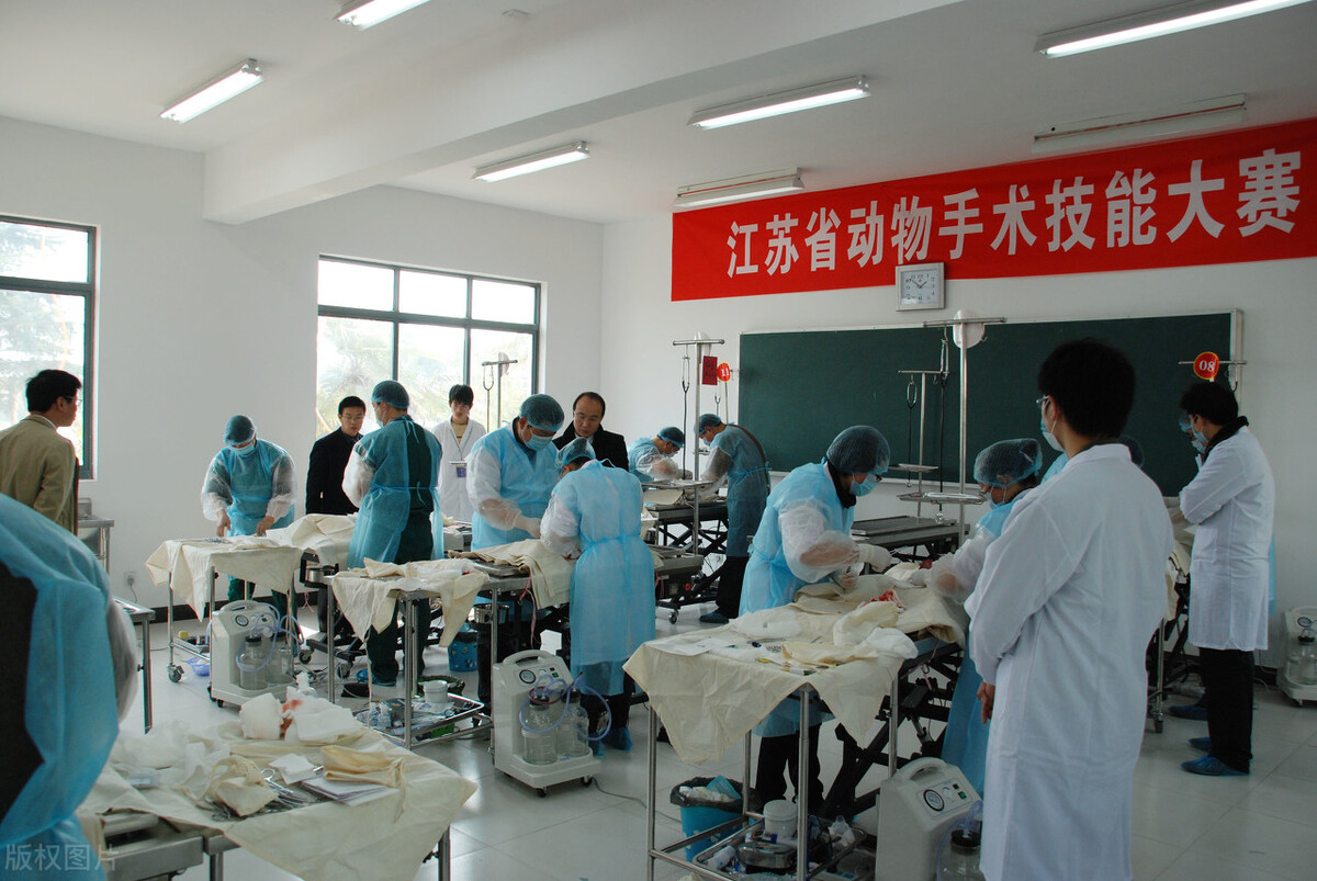 高职院校中的985,高职五大名校