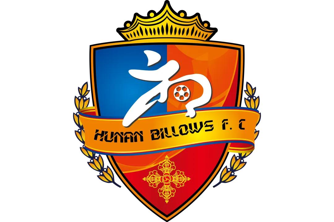 湖南足球现状,中国足球荒漠成长