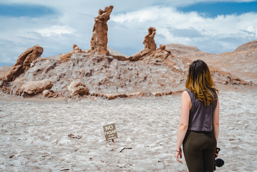 智利现状,智利基本情况