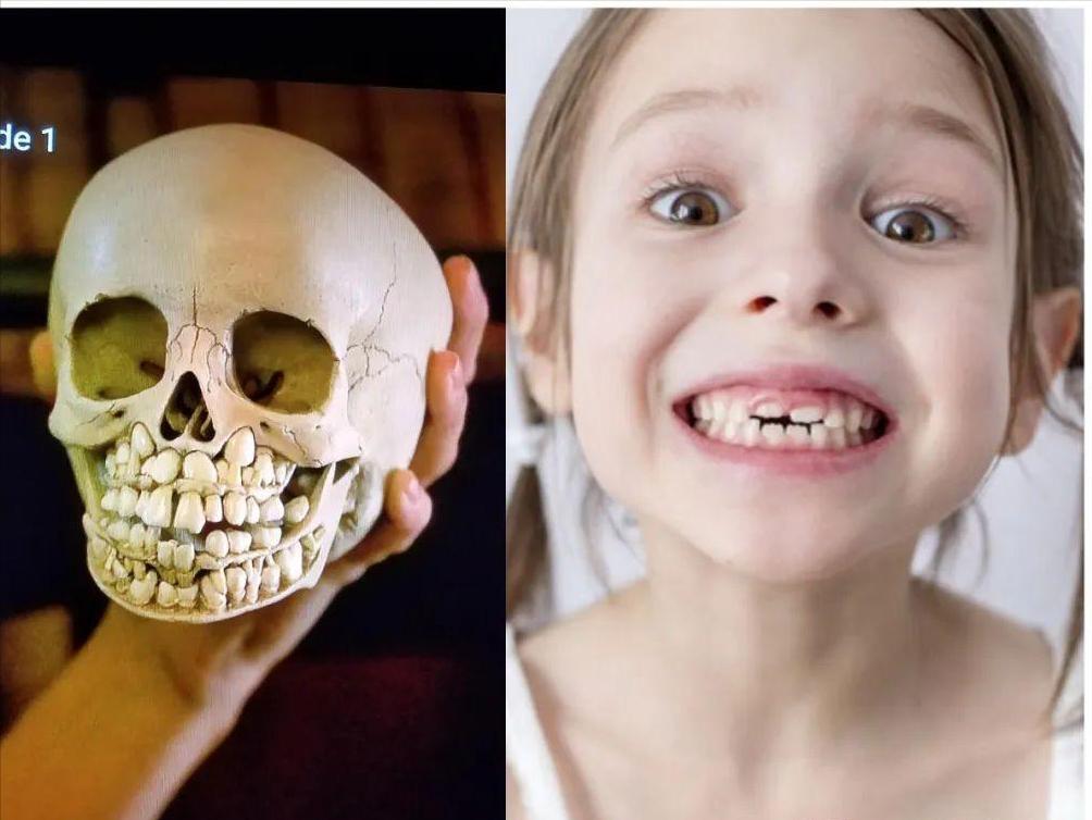 十大毁三观的真相,毁三观的25个事实是什么