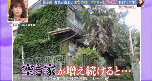 日本林志玲,从模特变包工头!砸4000W买破房,又花500W拆了重装