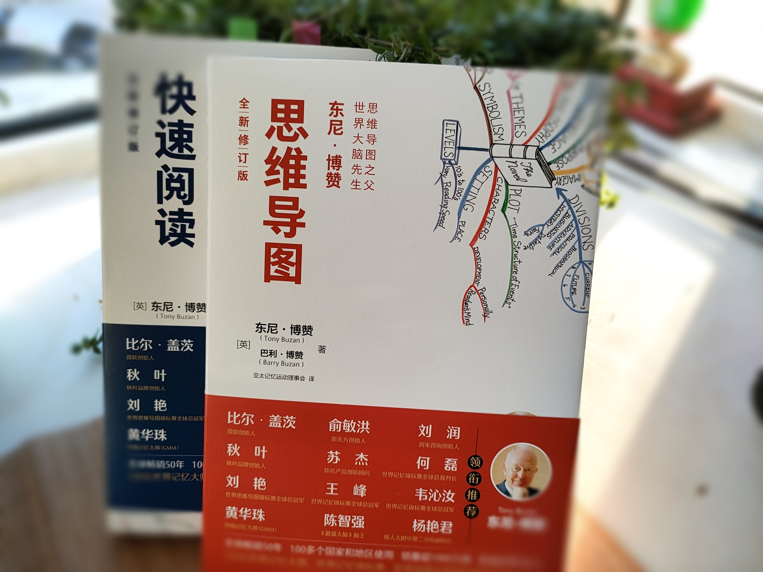 东尼博赞思维导图,东尼博赞思维导图真的有效吗