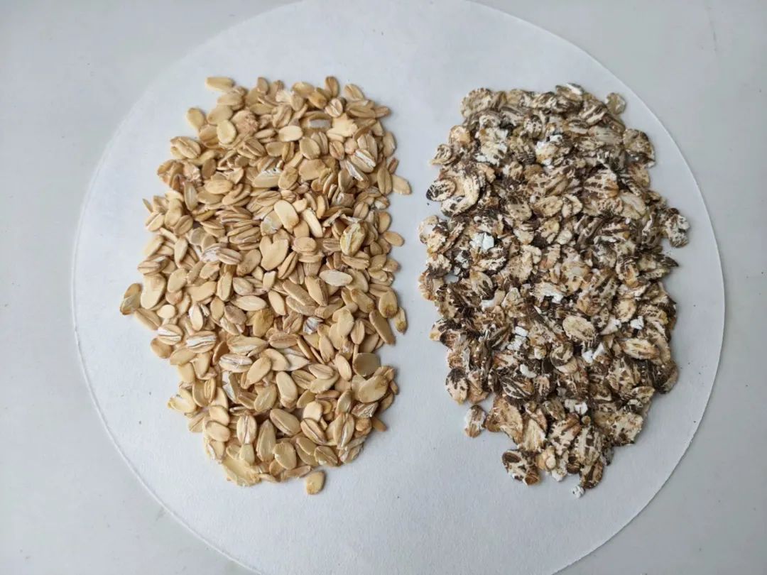 即食燕麦片升糖高减肥能吃吗,即食燕麦片升血糖还是降血糖