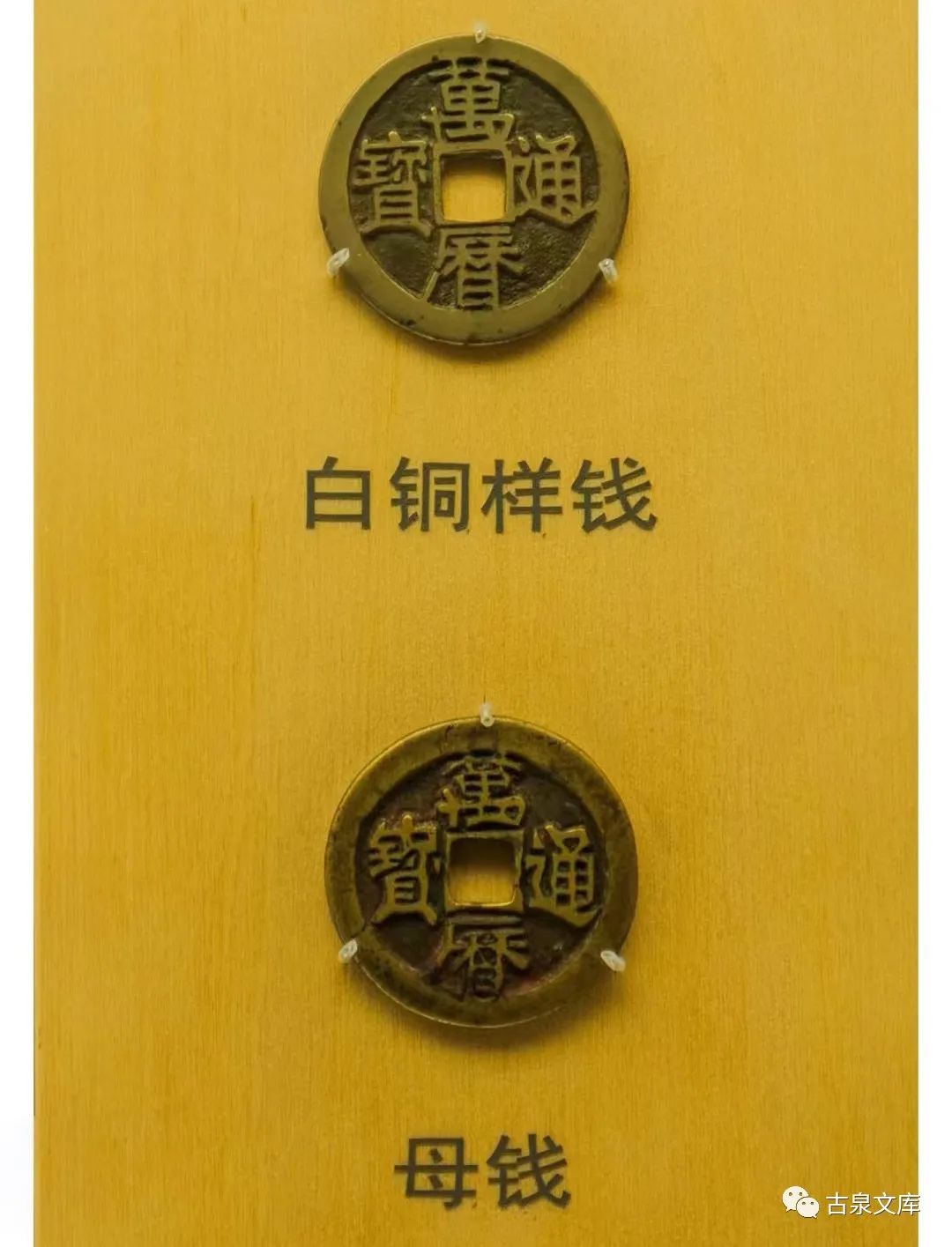 崔淳钱币专家,崔淳钱币