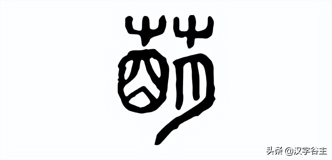 姹夊瓧妞嶇墿,鑽夋湪姹夊瓧