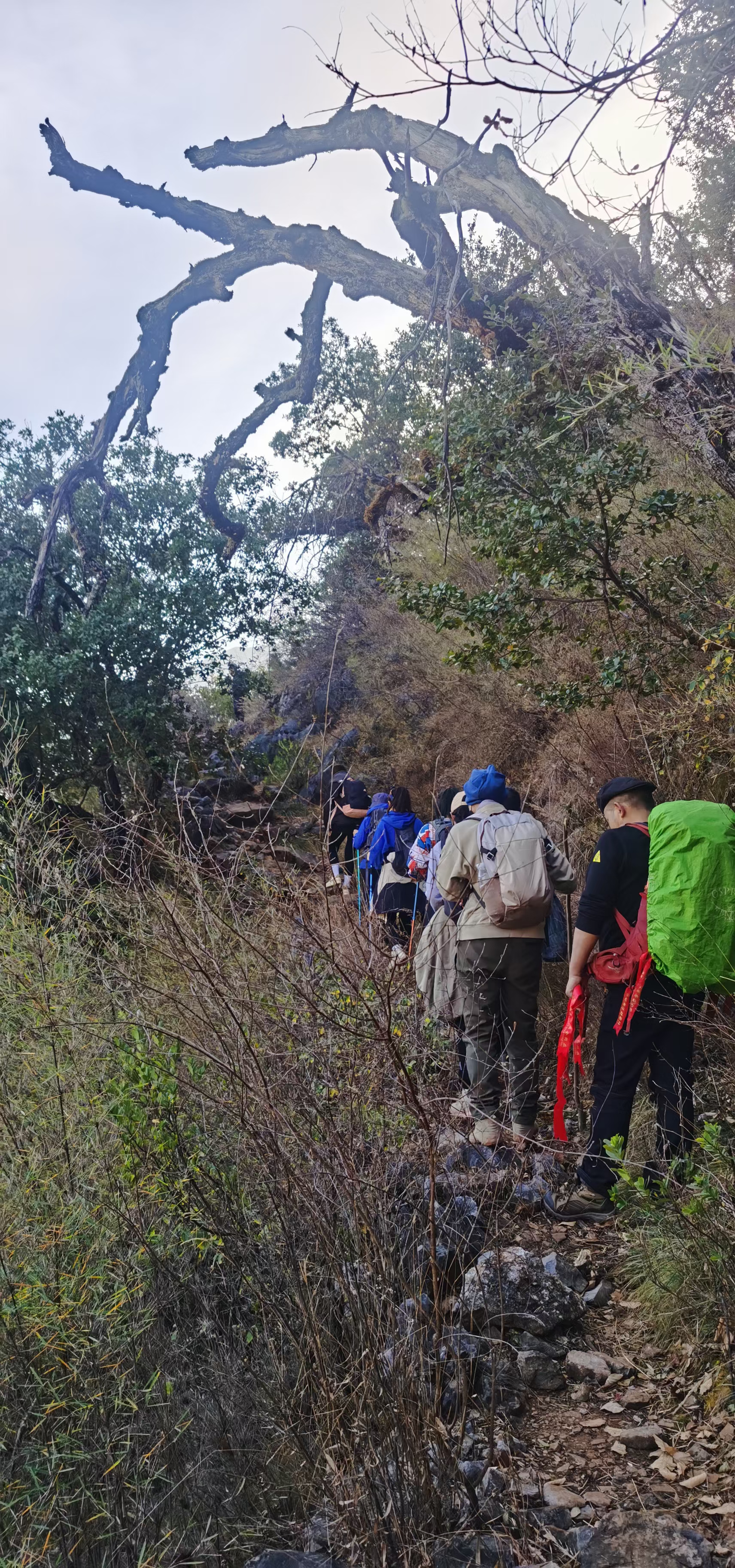春节云南昆明大理丽江五日游,去云南过新年玩转昆明丽江