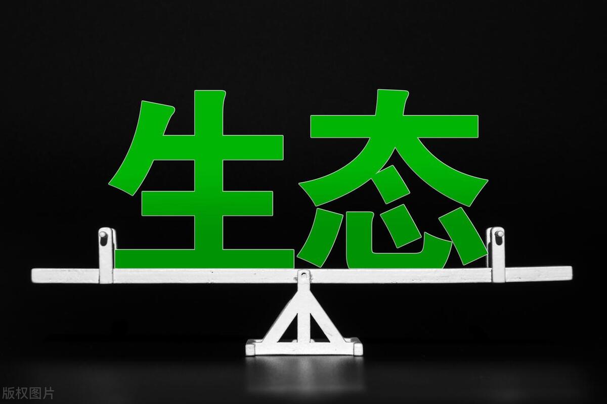 环境民事纠纷的解决案例分析,破坏环境民事责任的归责原则是