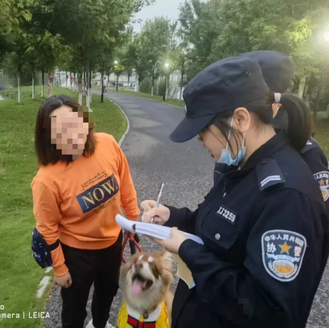 文明城市因不文明养犬被处罚,抚顺整治不文明养犬