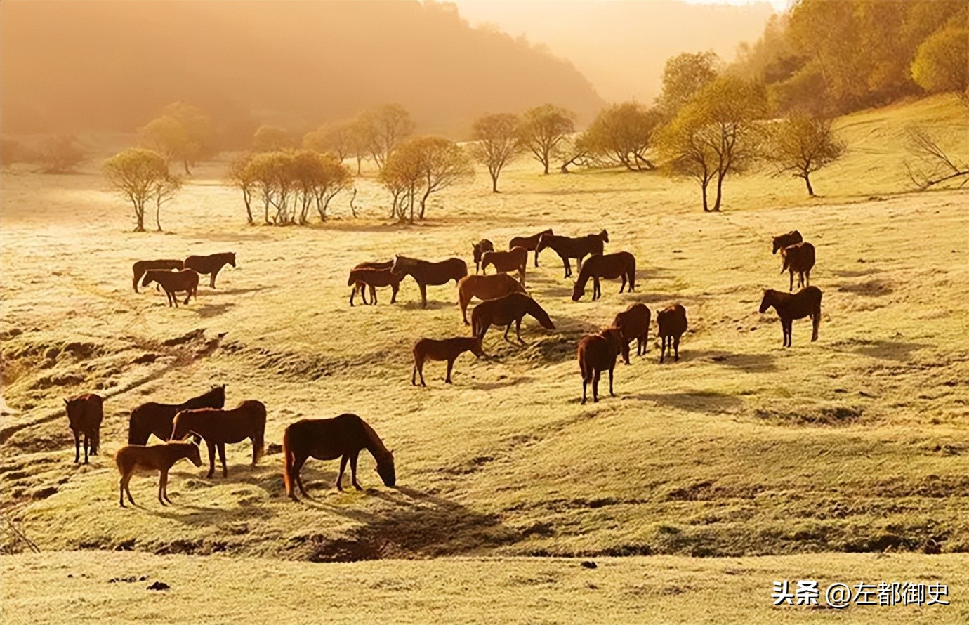 八旗、绿营所用之战马数量有多少，这些马又分别产自哪里？