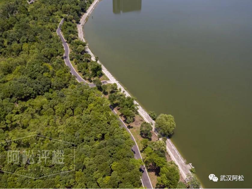 海口江东片区最新房价,地段好的房价越来越贵
