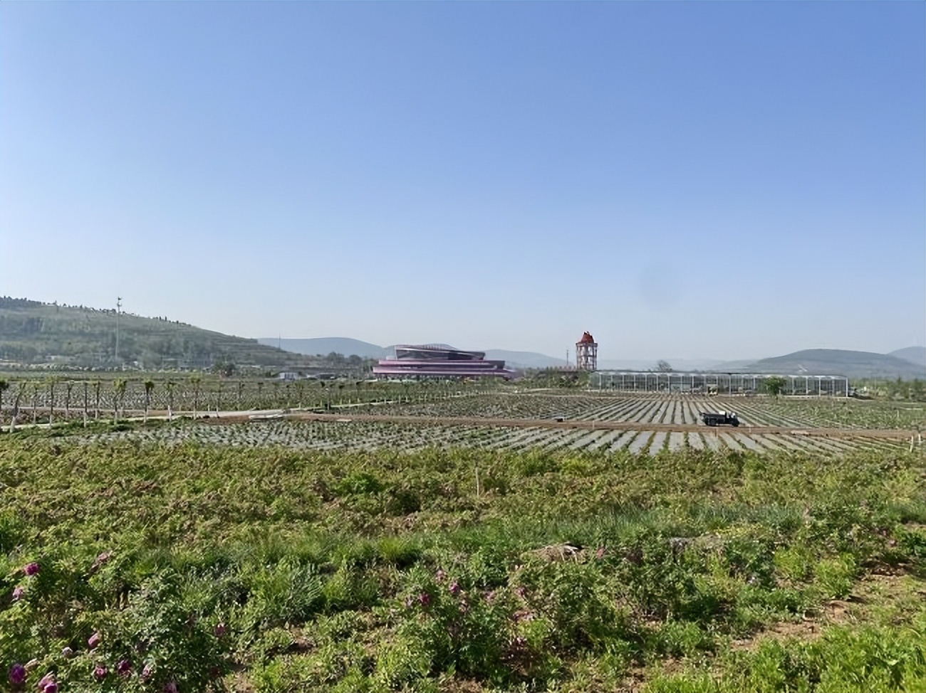 2021（山东）功能性农业·农业大健康大会解西周：芳蕾玫瑰产业