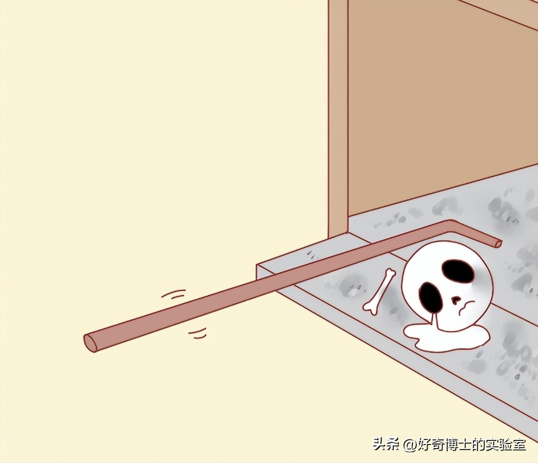 沉浸式体验出殡,详细观察遗体火化