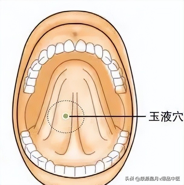 中医精华之人体特效穴,经外奇穴69个疑难杂症图解