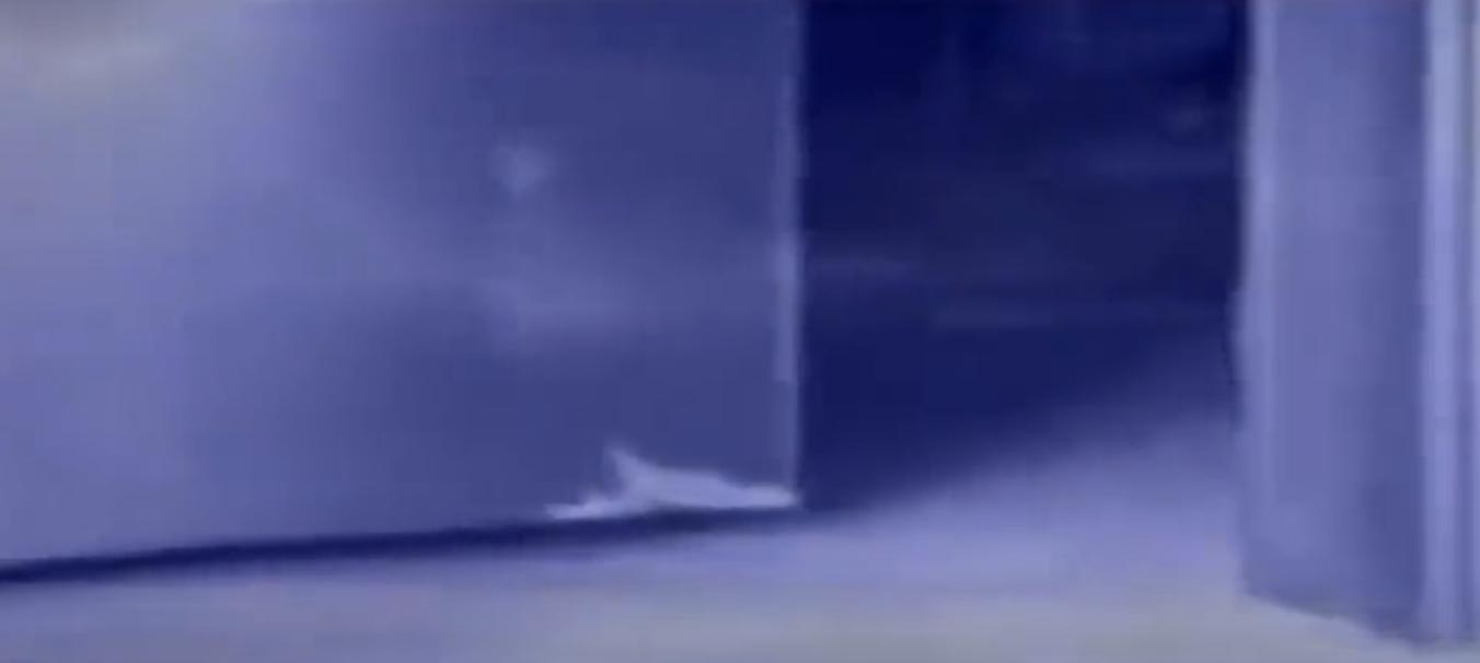 河北女孩瘫痪,河北女子瘫痪在床20年