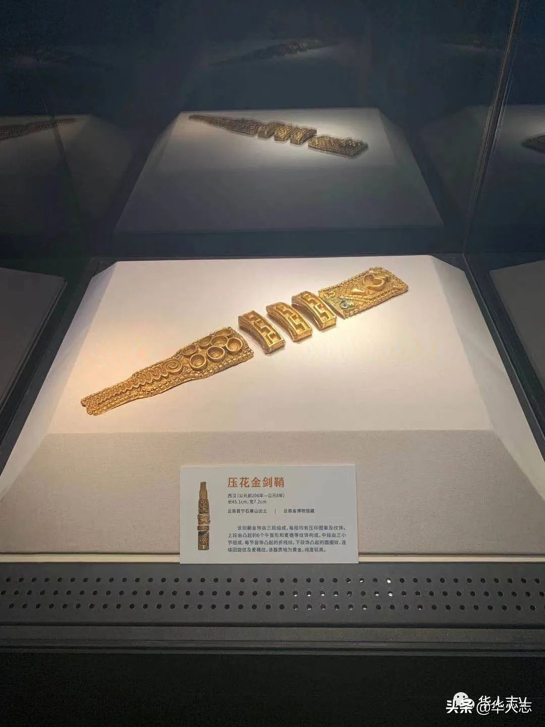 云南虫谷灵异故事,云南虫谷中的十大怪物