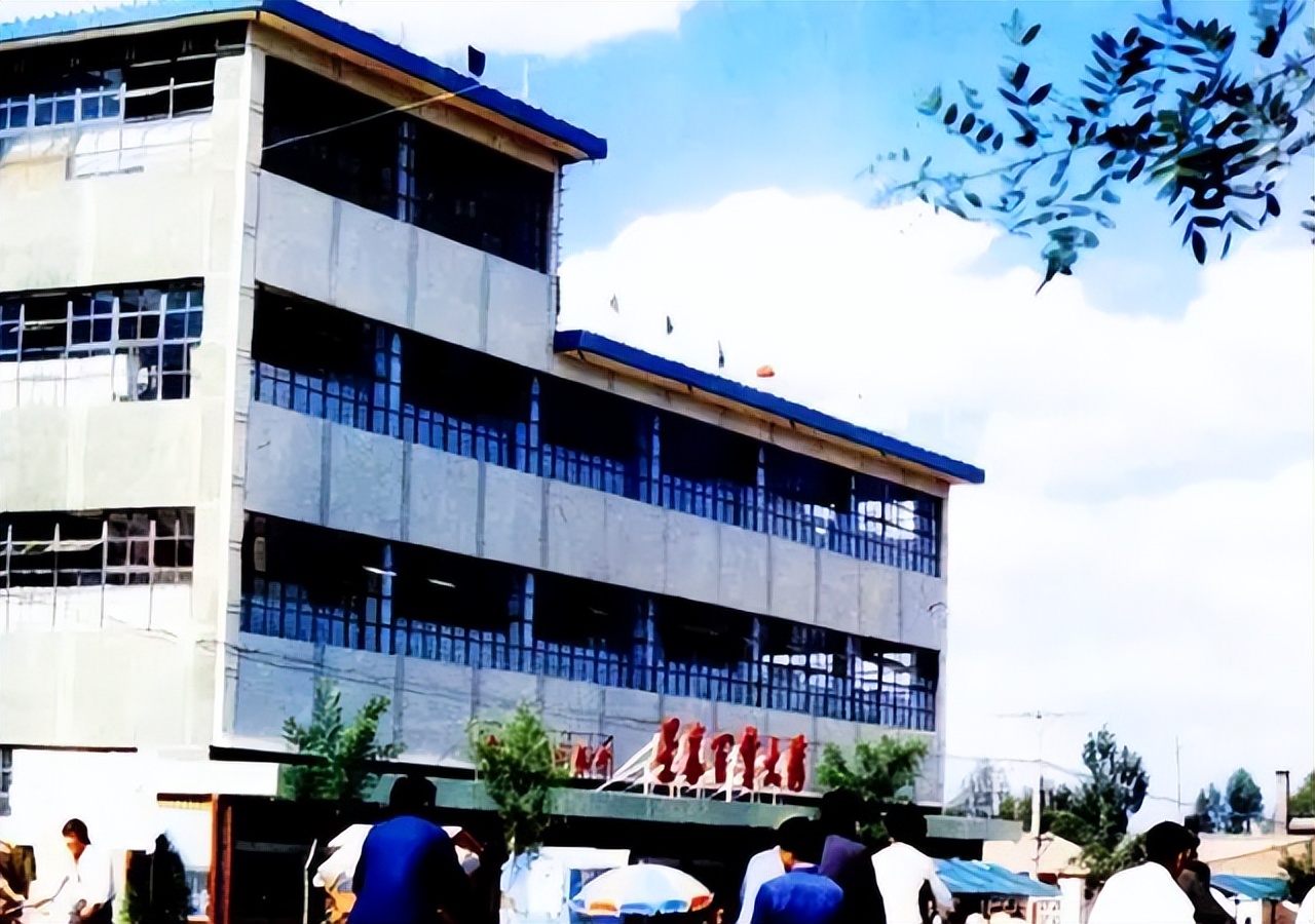 甘肃女子变卖家产花千万开发沙漠,女子砸千万家产完整版