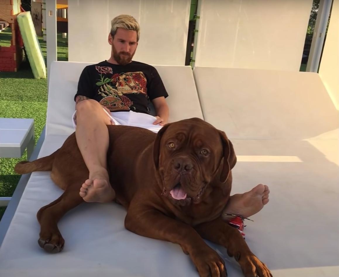 梅西的一些大房子,梅西豪宅屋顶