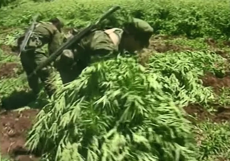 墨西哥为何强大,谈谈墨西哥真实状况