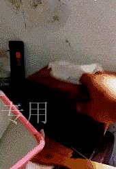 小S老公太会玩了吧约会啦啦队美腿辣妹？53岁比霍华德都猛