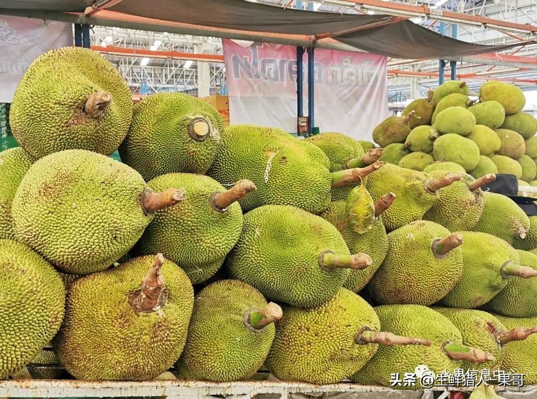 东南亚最大的水果批发市场,东南亚热带水果批发
