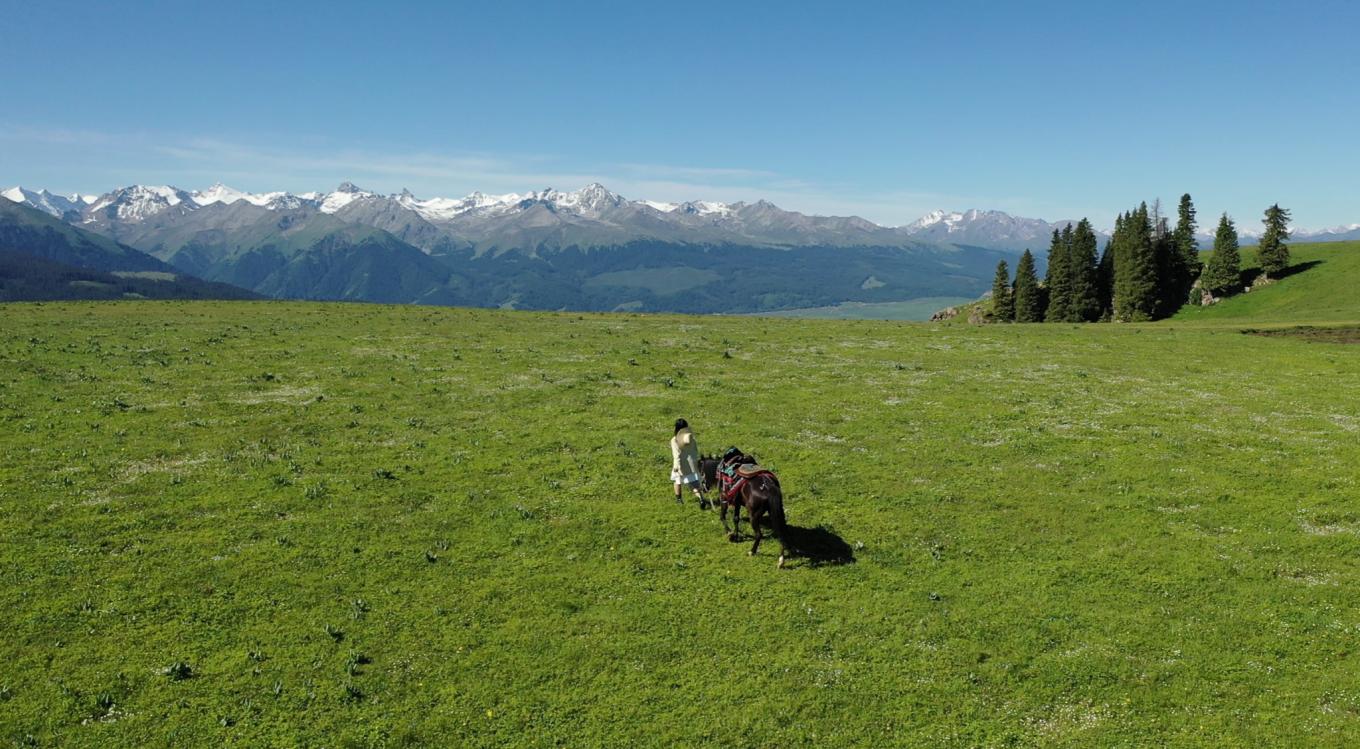 去新疆发现伊犁的美,世界之美尽在伊犁