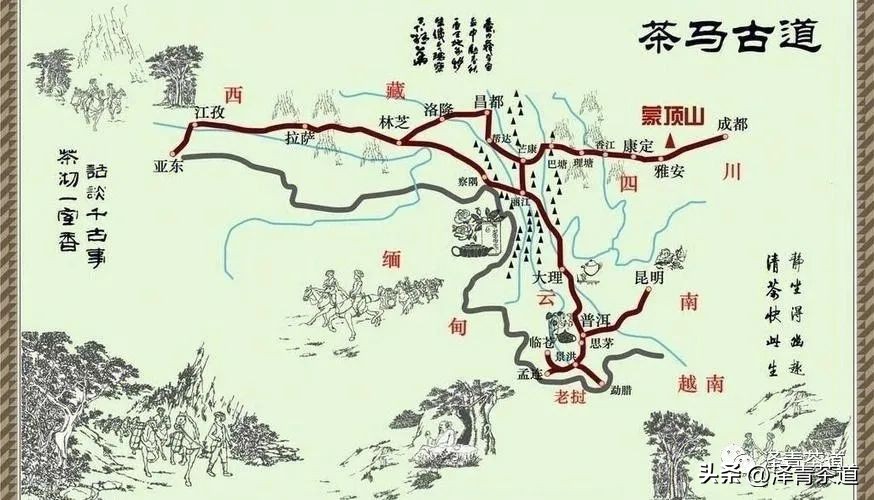 茶马古道茶叶铁盒价格,茶叶溯源之旅