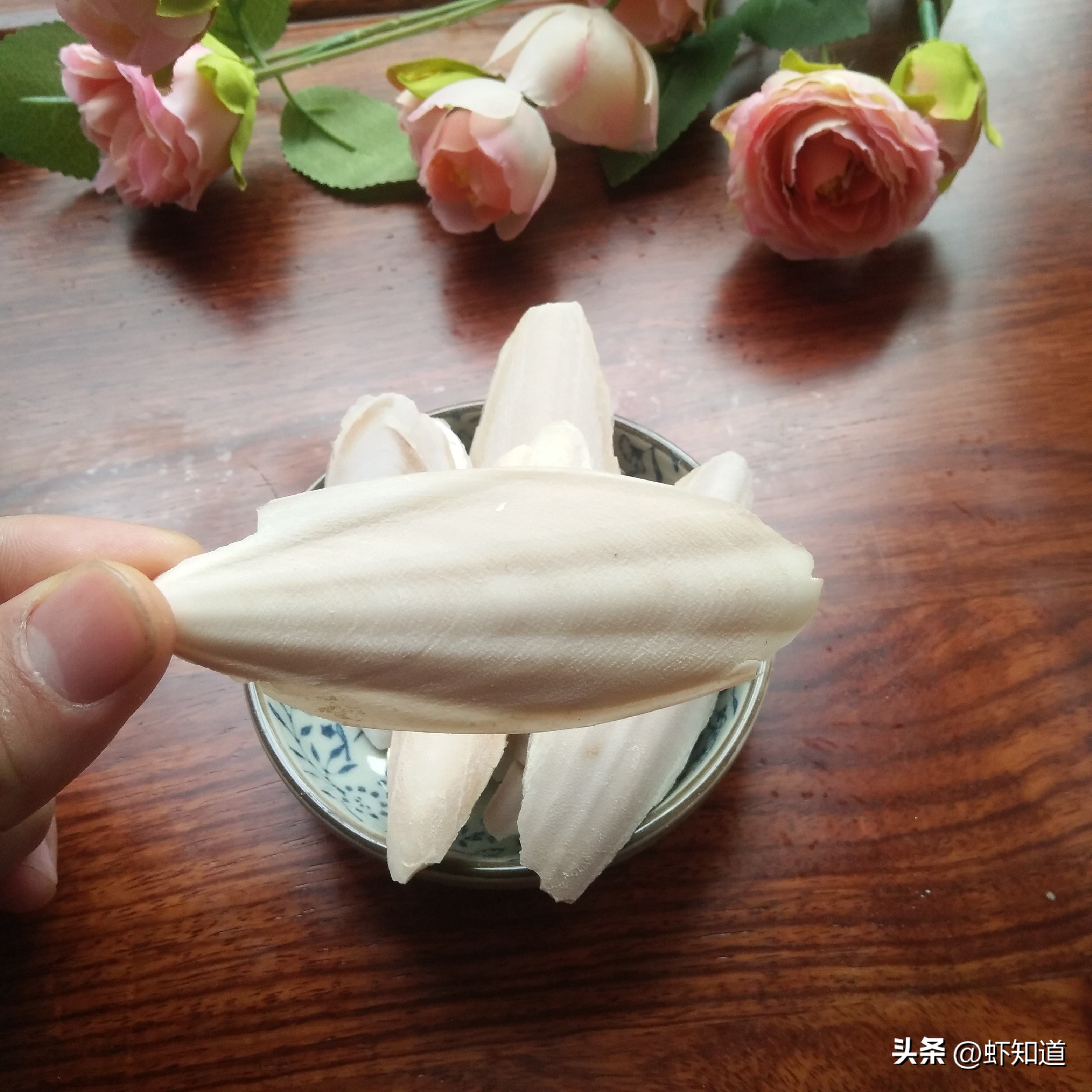 墨鱼乌贼章鱼鱿鱼到底有什么区别,八爪鱼章鱼鱿鱼墨鱼乌贼的区别