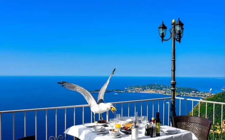 专栏｜地中海峭壁上的千年风华——法国埃兹小镇