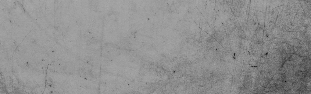 八达岭老虎咬人女子受伤情况,八达岭老虎伤人事件女毁容