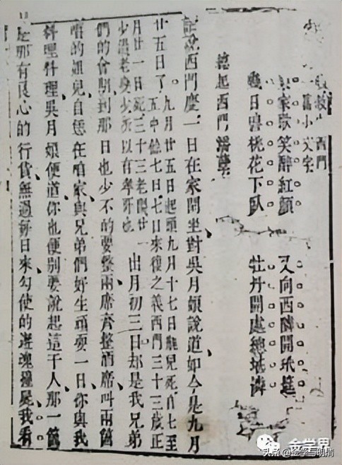 杨国玉玉雕,杨国玉全部视频