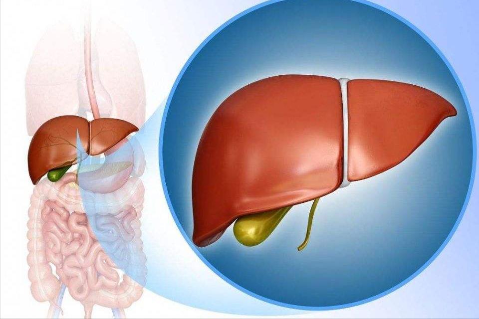 喝酒脸红的人和脸白的人哪个能喝,喝酒脸红的人到底能不能喝科普
